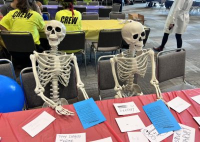 Two skeletons working on Mensa quiz at Comicon 2024