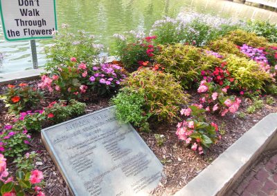 Please note: Flowers in full bloom at South Lake!