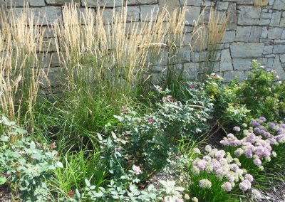 Helen S Cuddy Rose Garden flower bed showing off