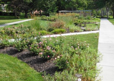 Rose Garden at Antioch Park